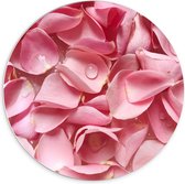 Forex Wandcirkel - Roze Rozenblaadjes - 70x70cm Foto op Wandcirkel (met ophangsysteem)