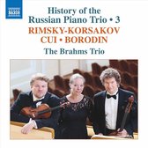 The Brahms Trio - History Of The Russian Piano Trio, Vol. 3 (CD)