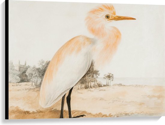 Canvas - Getekende Vogel in de Natuur - Foto op Canvas Schilderij (Wanddecoratie op Canvas)