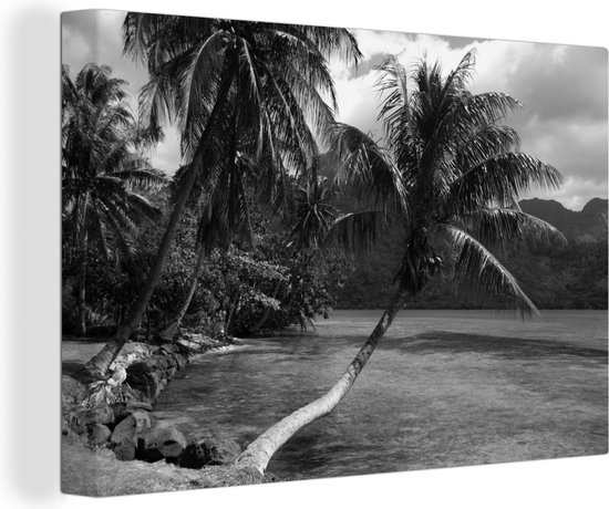 Canvas Schilderijen - Palmbomen op het strand van Mo'orea in zwart wit - Wanddecoratie