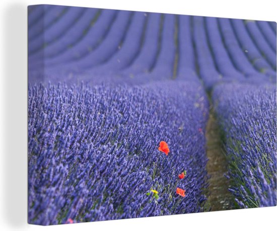 Canvas Schilderij Lavendel - Klaproos - Bloemenweide - 30x20 cm - Wanddecoratie
