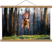 Schoolplaat – Vrolijke Hond in Bos met Tak - 60x40cm Foto op Textielposter (Wanddecoratie op Schoolplaat)