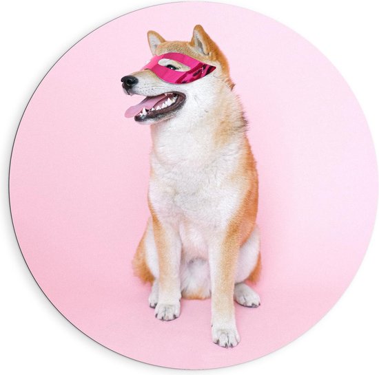 Dibond Wandcirkel - Hond met Roze Masker - Foto op Aluminium Wandcirkel (met ophangsysteem)