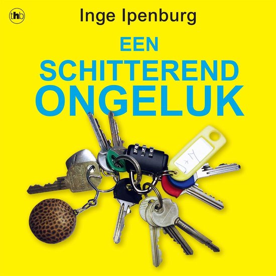 Een schitterend ongeluk - cover