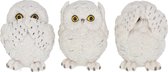Nemesis Now - Three Wise Owls 8cm