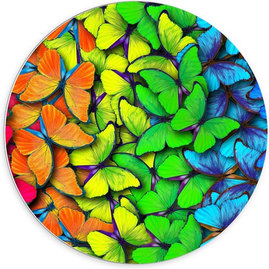 Forex Wandcirkel - Regenboogkleurige Vlinders - 70x70cm Foto op Wandcirkel (met ophangsysteem)