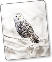 Good Morning Plaid Snowy Owl - 130x160 cm - Wit