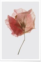 JUNIQE - Poster Boug Island 02 -13x18 /Rood & Wit