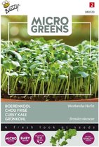 Buzzy Microgreens kiemgroenten, Boerenkool 1 gram