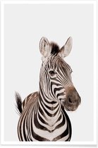 JUNIQE - Poster Zebra -30x45 /Wit & Zwart