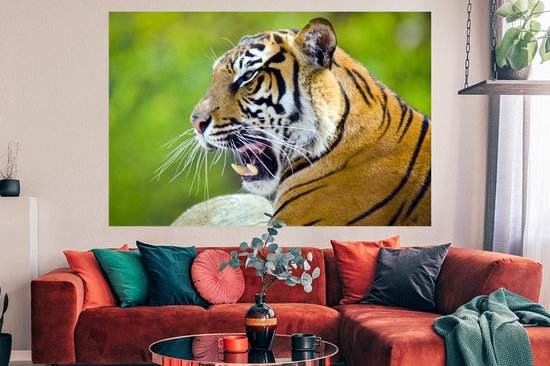Poster Tigre rugissant 180x120 cm - Tirage photo sur Poster (décoration  murale) /... | bol