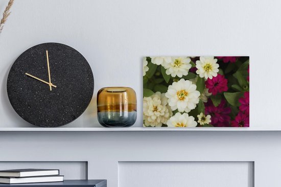 Toile de fleurs de zinnia blanc et violet 30x20 cm - petit - Tirage photo sur toile (décoration murale salon / chambre)