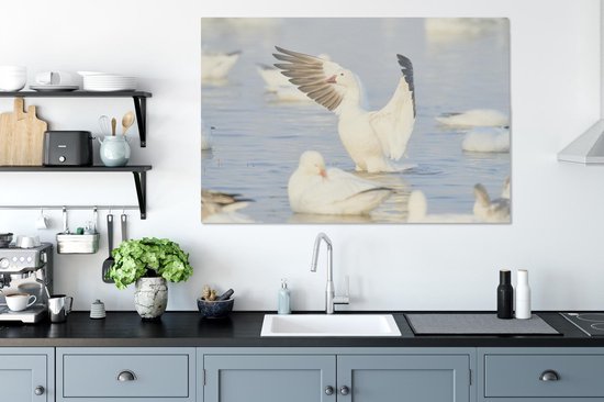 Oie des neiges vole hors de l'eau Toile 140x90 cm - Tirage photo sur toile (Décoration murale salon / chambre)