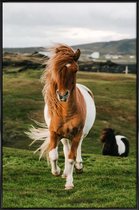 JUNIQE - Poster in kunststof lijst Shetland Pony's -30x45 /Bruin &
