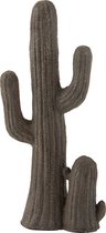 J-Line Cactus Staand Polyresin Grijs / Bruin 26.1x14.5x57.5