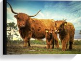 Canvas  - Familie Schotse Hooglander in Landschap - 40x30cm Foto op Canvas Schilderij (Wanddecoratie op Canvas)