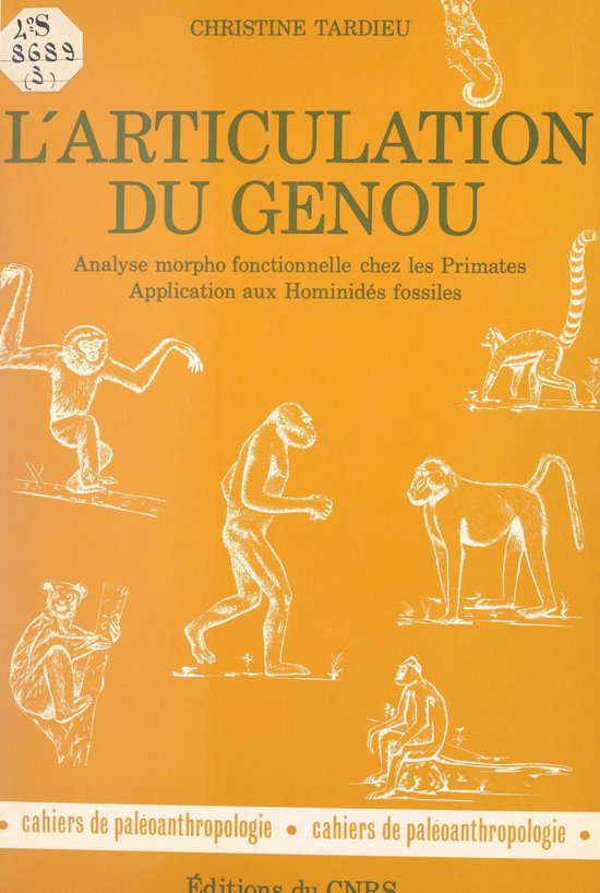 L'articulation du genou - cover