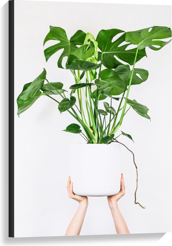 Canvas  - Witte Plantenpot op Handen - 60x90cm Foto op Canvas Schilderij (Wanddecoratie op Canvas)