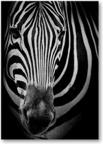 Zebra op donkere achtergrond - A4 Poster Staand - 21x30cm - Dieren - Minimalist