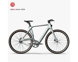 Fiido Air - Elektrische Fiets - Zilver - L