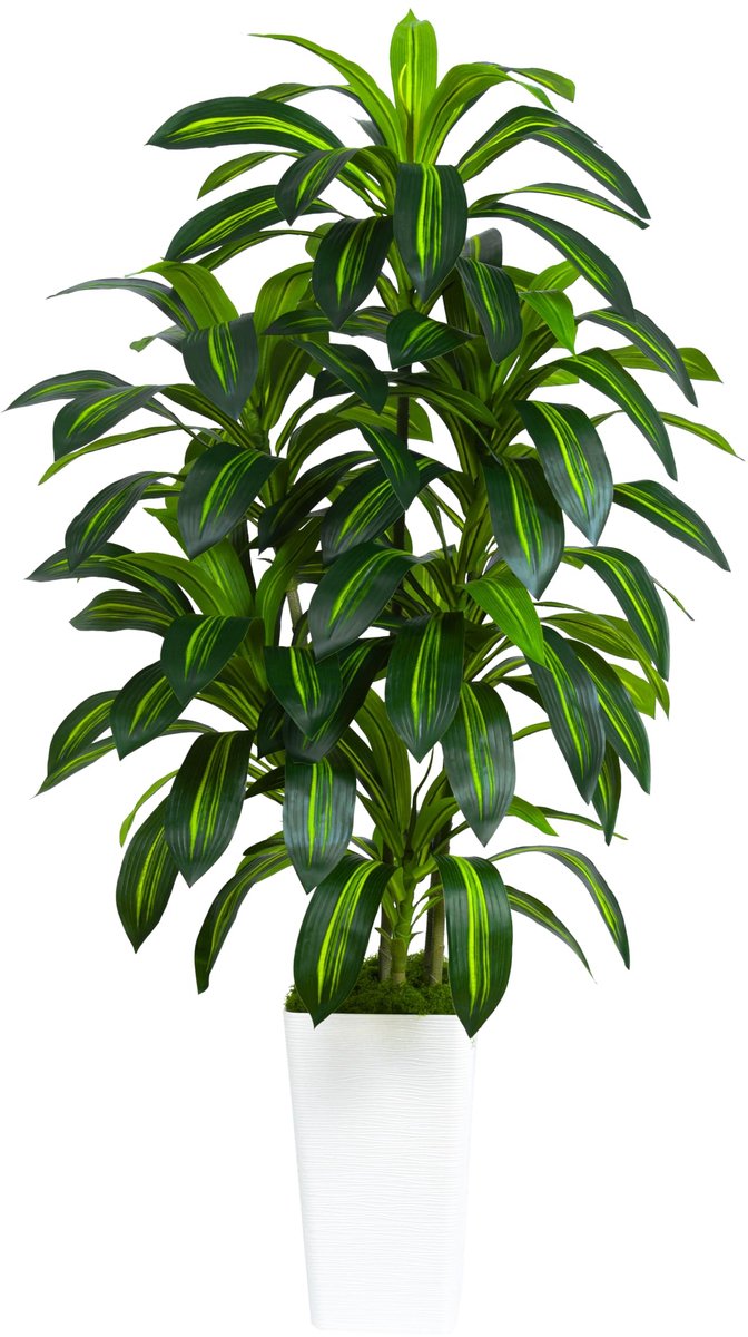 Ibenzoa® Kunstmatige Drakenboom Plant 150 cm hoge decoratieve plant voor binnen en buiten met witte sierpot
