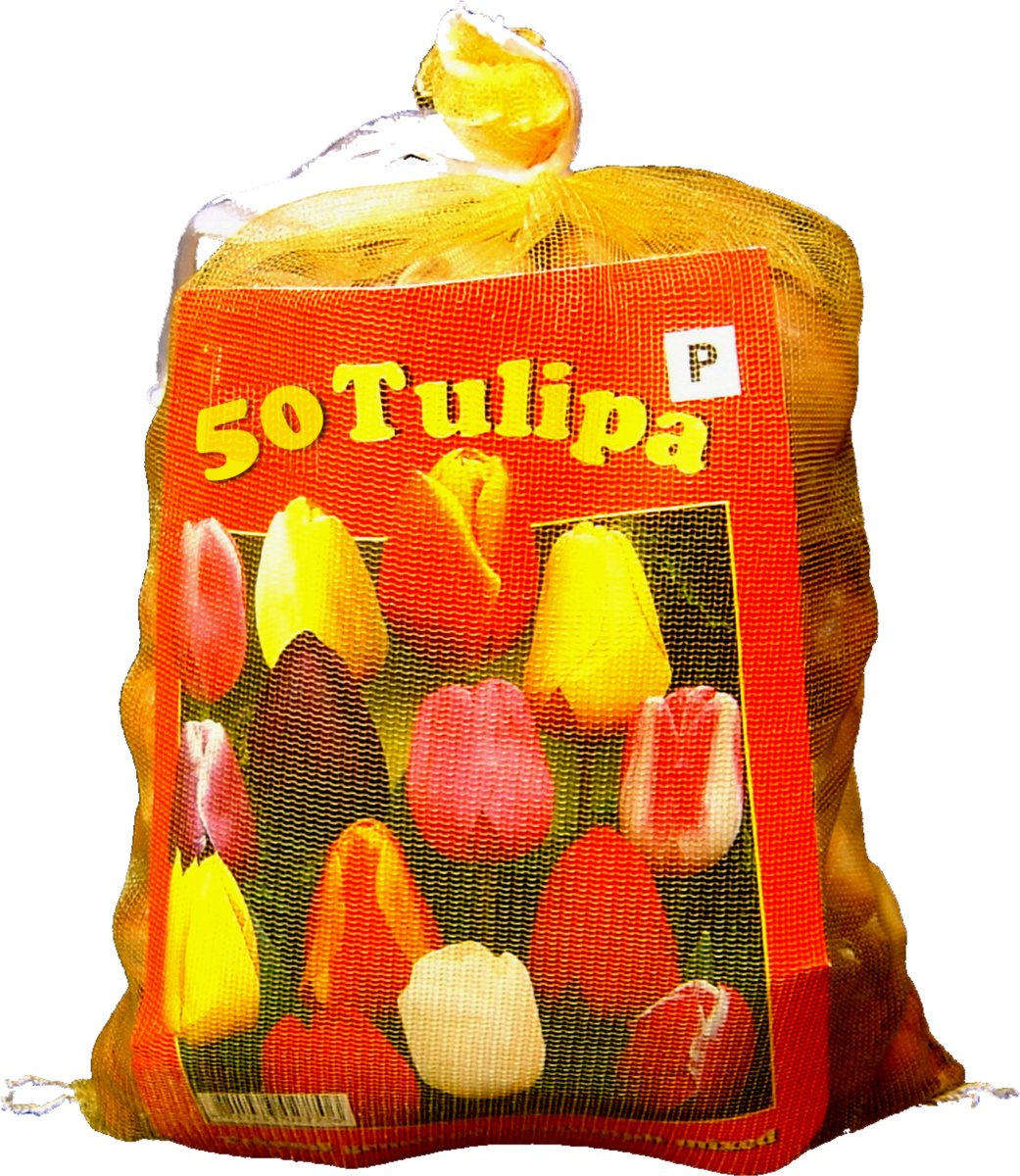 Tulp (Tulipa) - enbollen Darwin Mix direct leverbaar (XL-Verpakking) - Snijbloemen - (Ook)-Voor in huis - Voorjaarsbollen - bloeit in April / Mei
