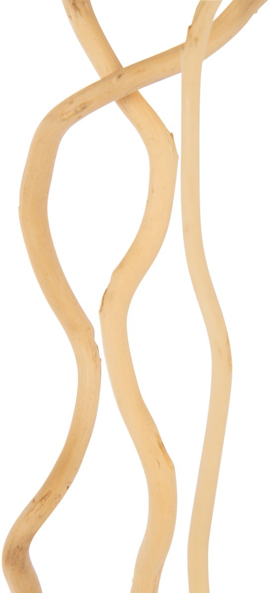 J-Line decoratie tak Droogbloemen - riet - naturel - large - set van 3