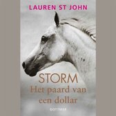 Digitaal luisterboek