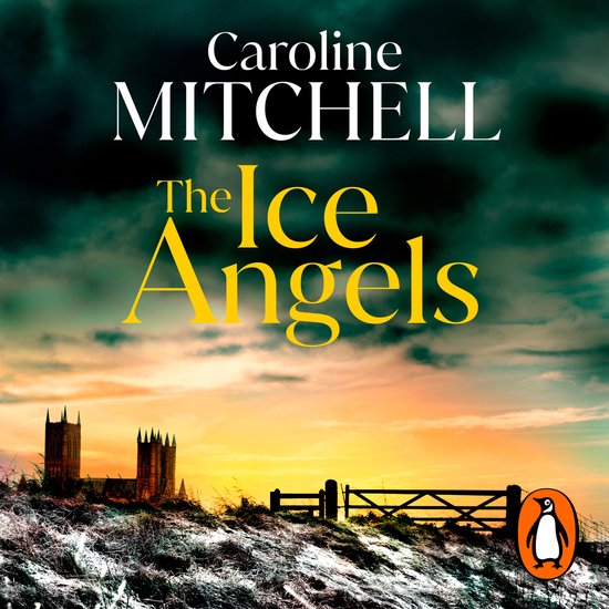 The Ice Angels - cover