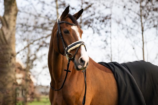 Epplejeck Hoofdstel Epplejeck Ejsensitive Zwart | Maat: Paard Epplejeck Hoofdstel Epplejeck Ejsensitive Zwart | Maat: Paard