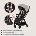Grijze buggy met verstelbare 5-puntsgordels en een draaibare, afneembare beugel.