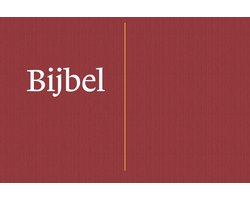 Omslag van NBV21 Dwarsligger