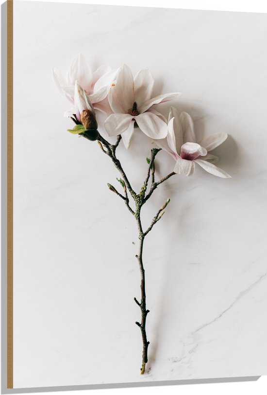 Hout - Wit met Roze Bloemen op Witte Ondergrond - 80x120 cm - 9 mm dik - Foto op Hout (Met Ophangsysteem)
