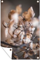 Tuindecoratie Macro - Hortensia - Stilleven - 40x60 cm - Tuinposter - Tuindoek - Buitenposter