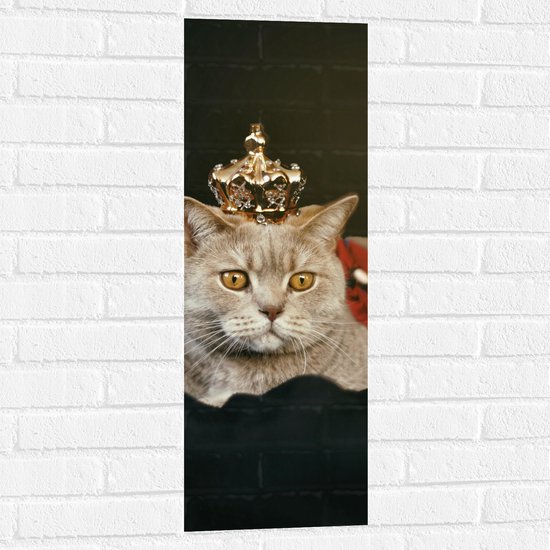Muursticker - Kat als Koning met Kroontje - 30x90 cm Foto op Muursticker