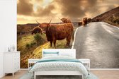 Behang - Fotobehang Schotse hooglanders - Lucht - Weg - Breedte 420 cm x hoogte 280 cm