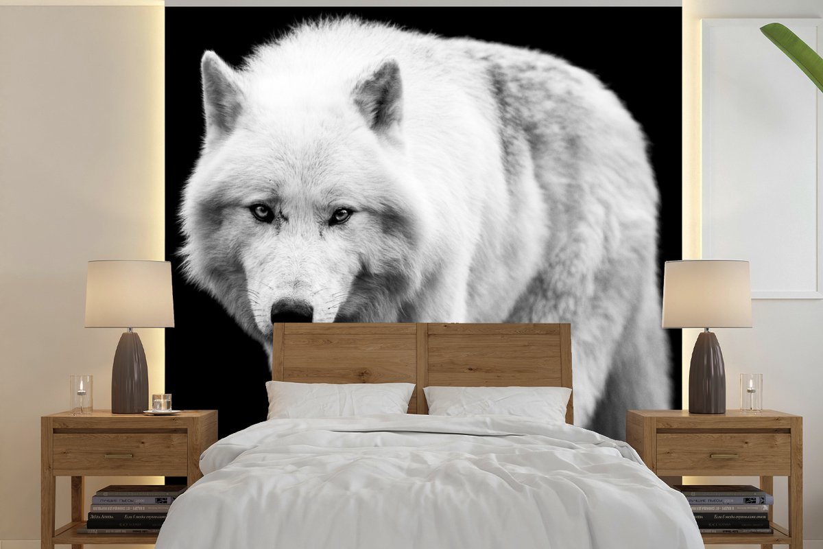 Behang - Fotobehang Wolf - Dier - Zwart - Wit - Breedte 280 cm x hoogte 280 cm