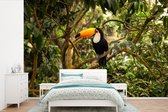 Behang - Fotobehang Vogel - Toekan - Jungle - Natuur - Tropisch - Breedte 360 cm x hoogte 240 cm