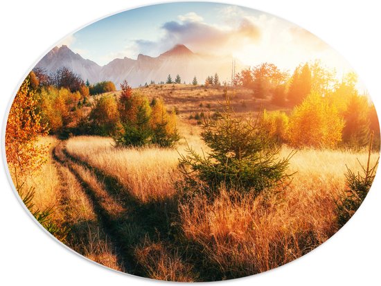 PVC Schuimplaat Ovaal - Felle Zon over Landschap met Oranje Bomen en Droge Grassen - 40x30 cm Foto op Ovaal (Met Ophangsysteem)