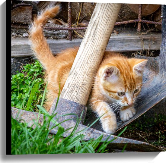 WallClassics - Canvas  - Kitten in de Tuin - 60x60 cm Foto op Canvas Schilderij (Wanddecoratie op Canvas)