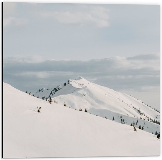 Dibond - Bergen met Dikke laag Sneeuw onder Dik Wolkenveld - 50x50 cm Foto op Aluminium (Wanddecoratie van metaal)