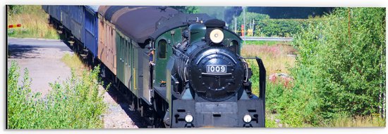 WallClassics - Dibond - Trein tussen Struiken - 60x20 cm Foto op Aluminium (Met Ophangsysteem)