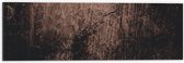 Dibond - Print van Krassen op Metaalkleurige Plaat - 60x20 cm Foto op Aluminium (Wanddecoratie van metaal)