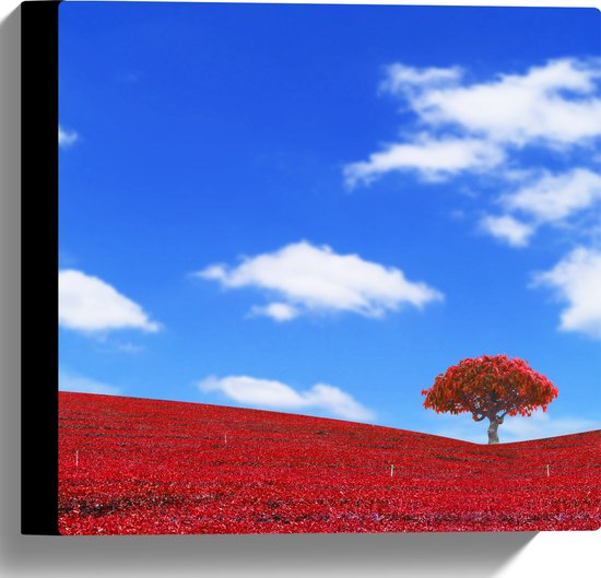 Canvas - Kleurrijk Rood Gekleurd Landschap met Blauwe Lucht - 30x30 cm Foto op Canvas Schilderij (Wanddecoratie op Canvas)