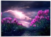 WallClassics - PVC Schuimplaat- Donder en Bliksem boven Paars Tulpenveld - 40x30 cm Foto op PVC Schuimplaat