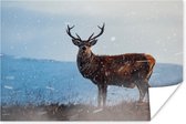 Poster Cerf dans la forêt enneigée papier 60x40 cm - Tirage photo sur Poster (décoration murale salon / chambre) / Poster Animaux sauvages