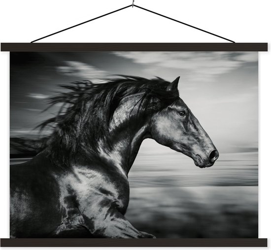 Porte-affiche avec affiche - Affiche scolaire - Cheval - Animaux - noir - Wit - 150x113 cm - Lattes noires