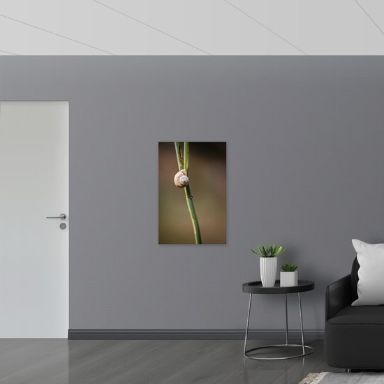 WallClassics - Panneau de mousse PVC - Escargot brun sur une branche verte étroite - Photo 60x90 cm sur panneau de mousse PVC