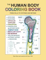 Coloring Concepts-The Human Body Coloring Book