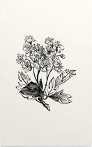Meidoorn zwart-wit (Hawthorn) - Foto op Forex - 80 x 120 cm